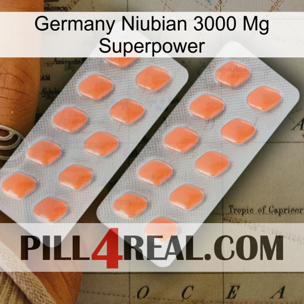 Germany Niubian 3000 Mg Superpower 27.jpg